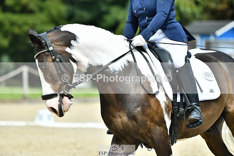 230623-144741-02606 - Cls 6 Elementary 53Q