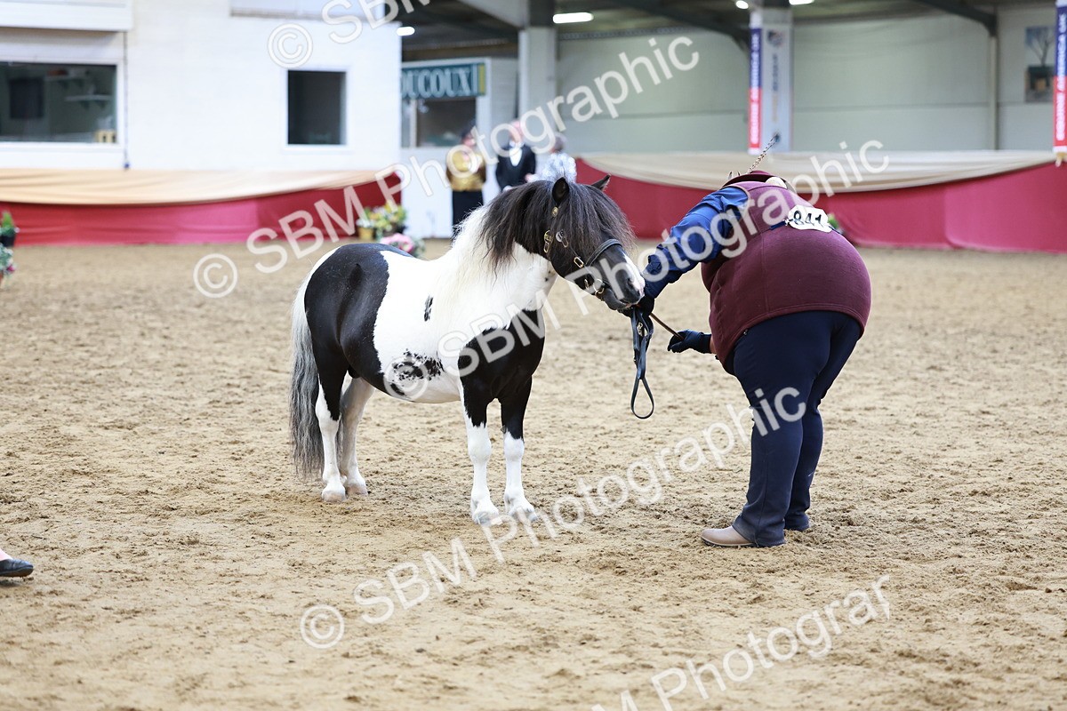 SBM_17328 - Class 951 - M&M IH Supreme Final