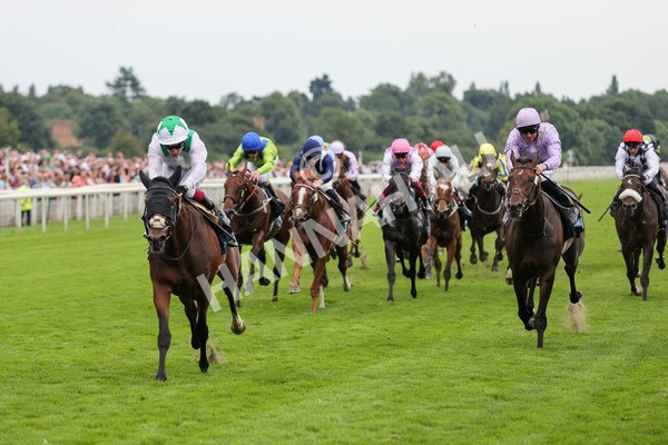 yr20082021r5-18 - Race 5 4.10pm British Stallion Studs EBF Convivial Maiden Stakes (Plus 10 Race)