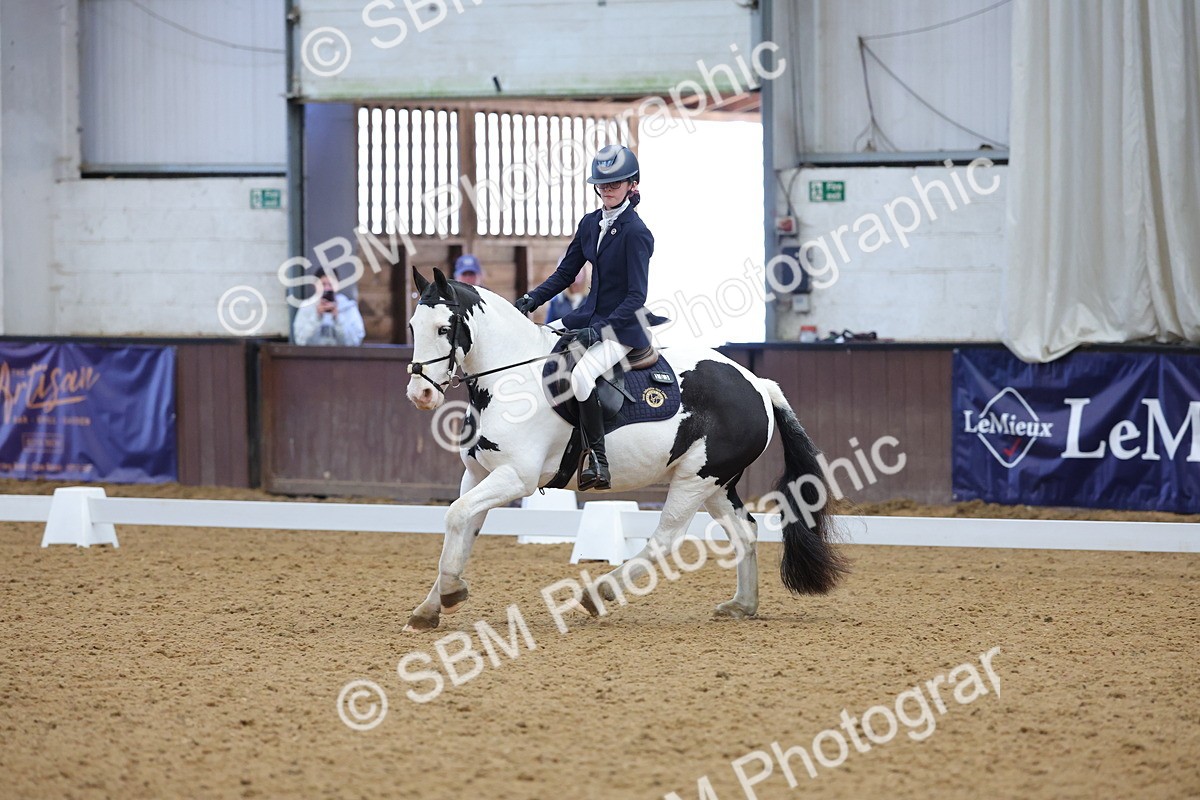 SBM_003077 - Novice