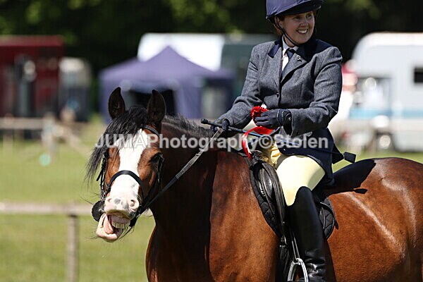 IMG_3585 - Working Hunter