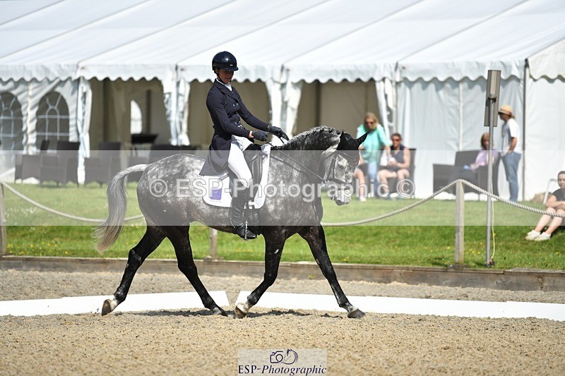 230525-101823-01681 - 311-BALLYCOSKERRY_REGAL_DIAMOND-Hollie_Swain-WEDTrotUp+DR
