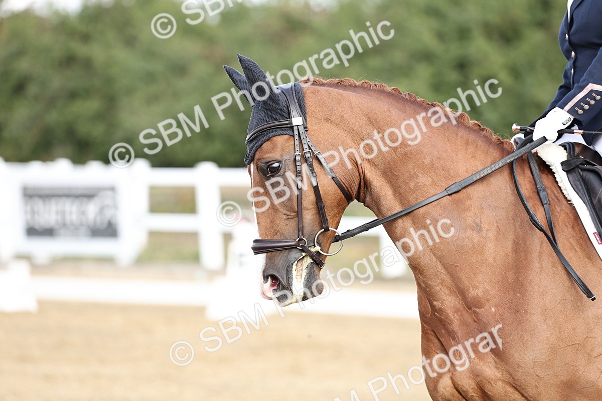 SBM_017465 - Class 12-14 - Intro 2-Prelim 5