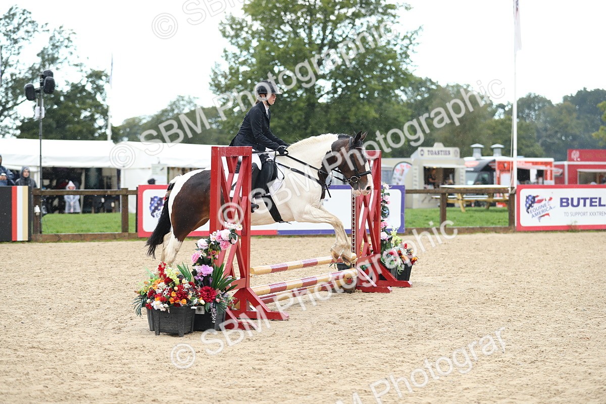 SBM_37206 - J20 - Junior Horse 50cm Championship