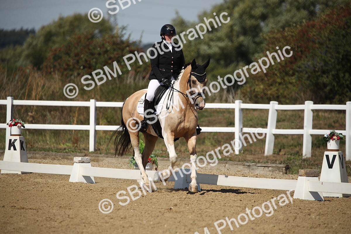 SBM_005075 - Class 11 - Novice 5 - 11.41-12.58