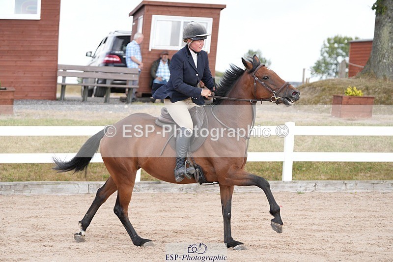 250715-170245-00274 - 80cm