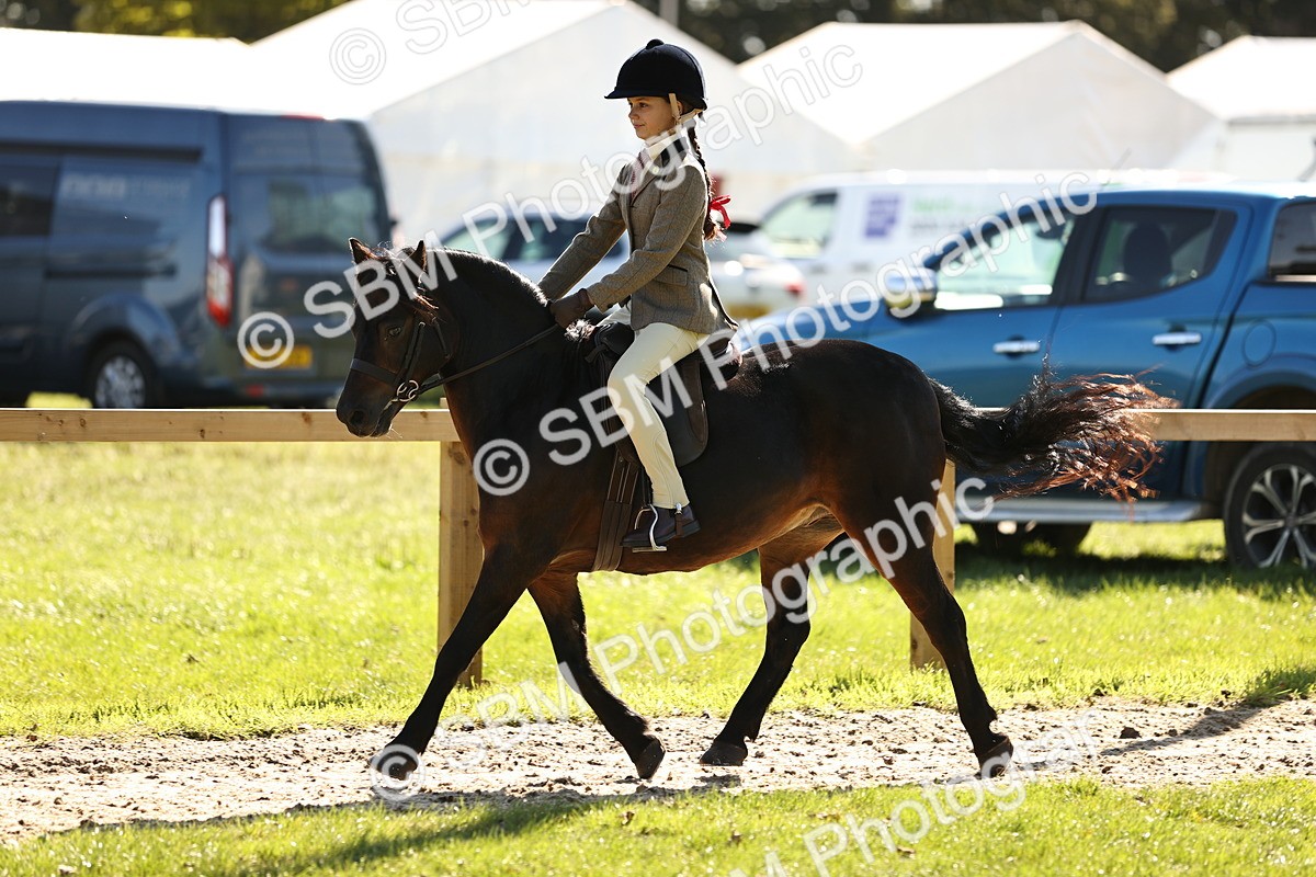 SBM_19262 - S3 - TSR Ridden Pony Showing