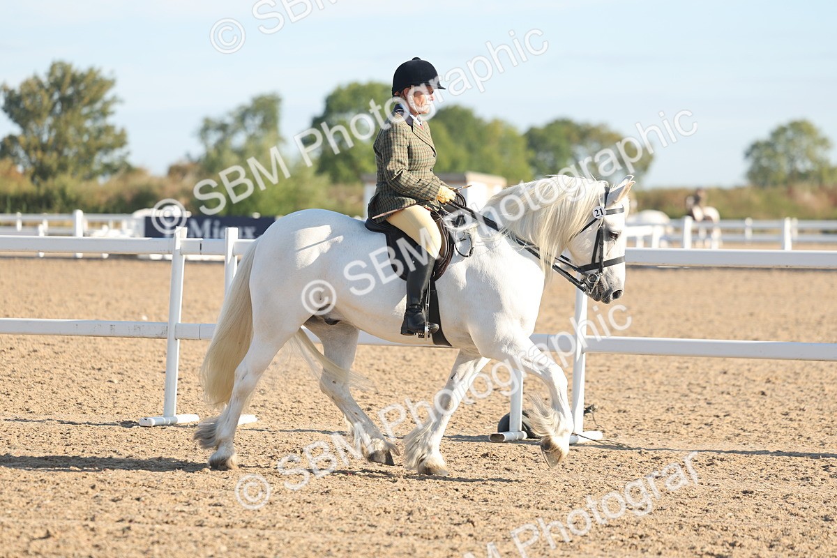 SBM_10963 - Class 302 - Ridden M&M Large Breeds