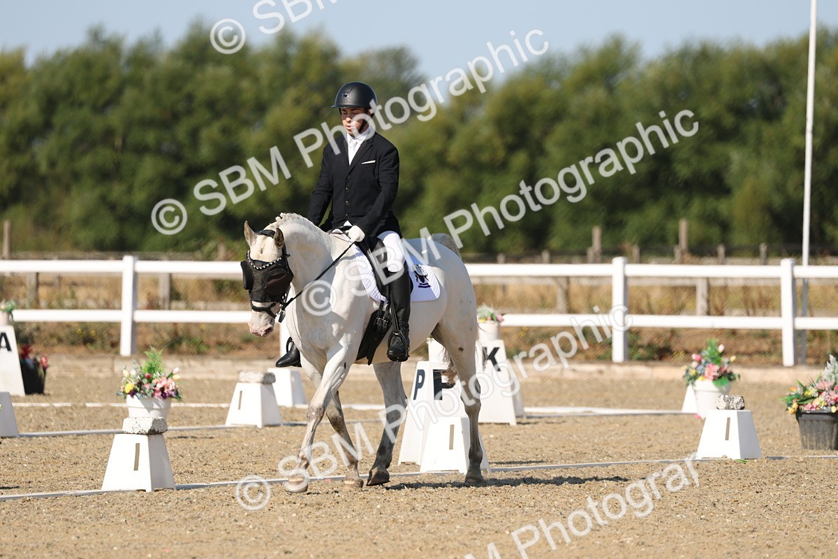 SBM_012813 - Class 1 - P5 Bronze 9.00.10.12