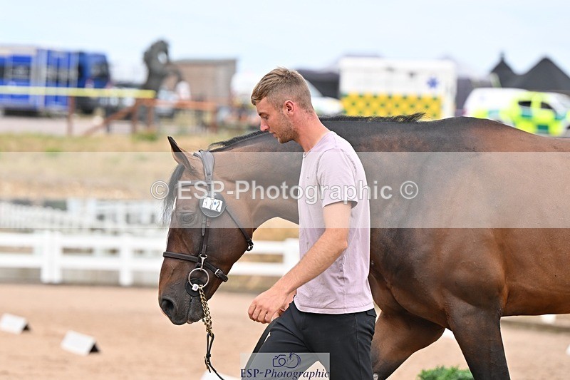 250716-163048-02658 - Trot Up 4.30 to 5.00