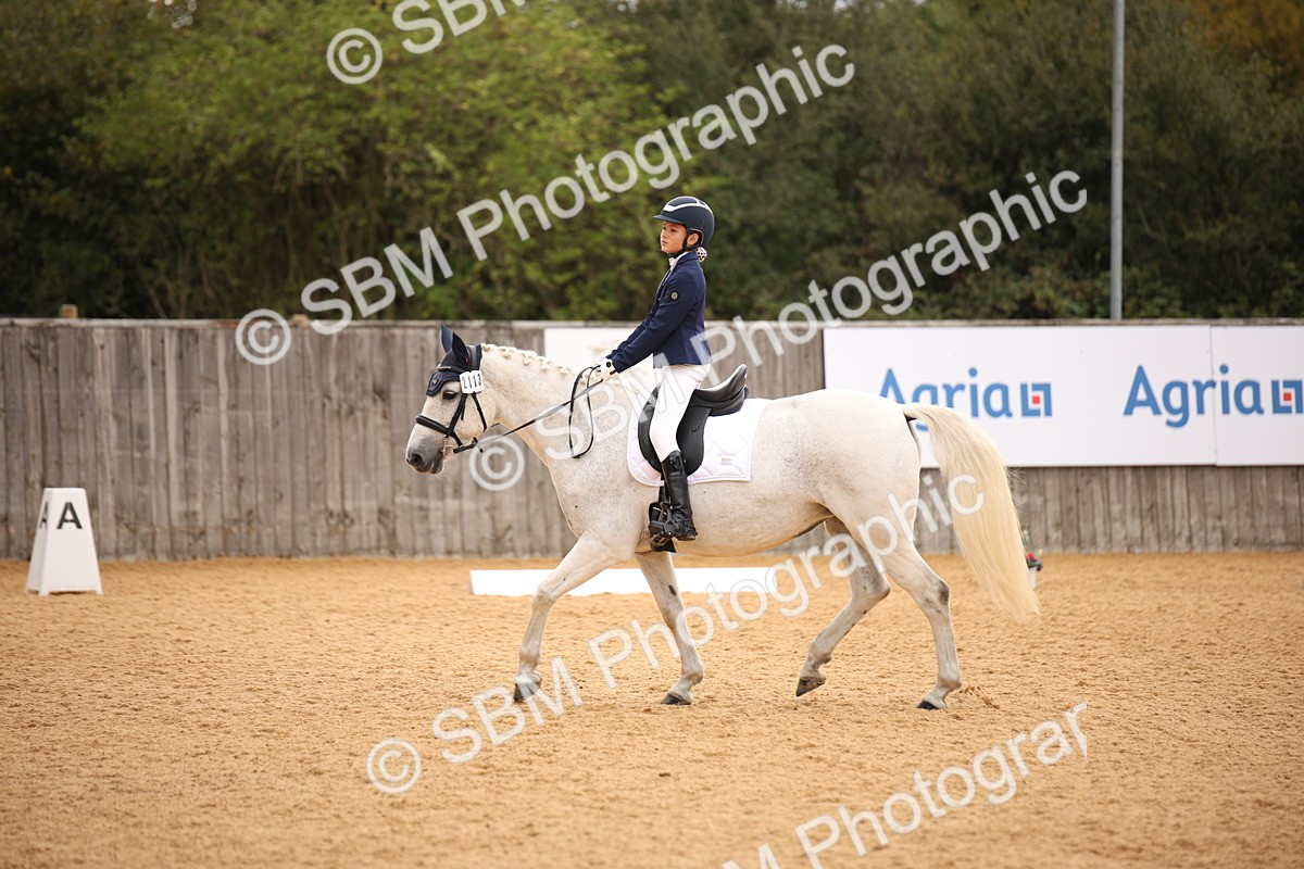 SBM_12213 - D3 Small  Tour Championship Intro A