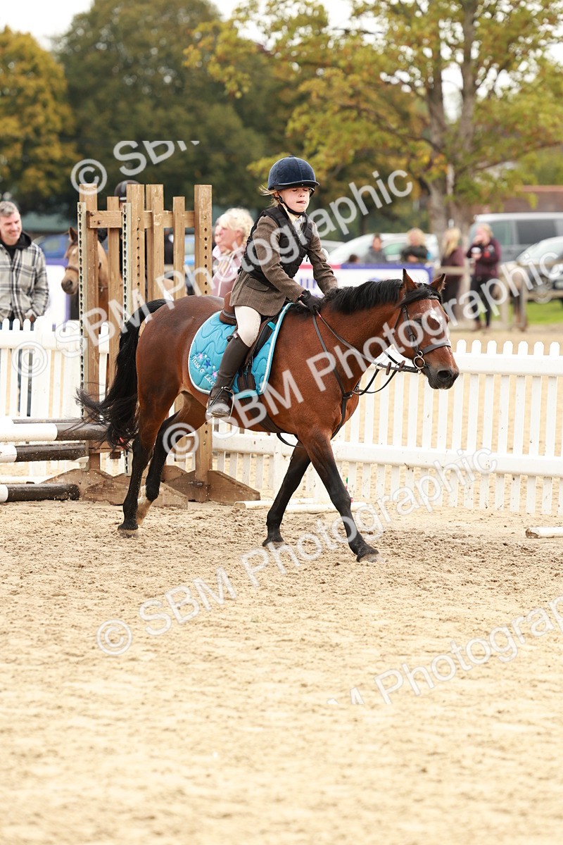 SBM_57733 - J11 - Junior Pony 50cm Championship
