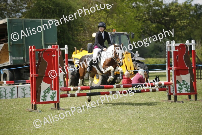 20250427-3708 - Class 14 - Absolute Novice 70cm