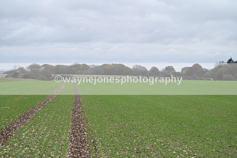 WJ7_2571 - Camera A