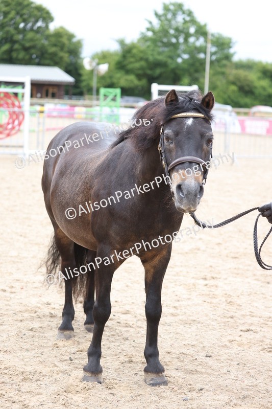 20250524-0750 - Class 7 - Veteran