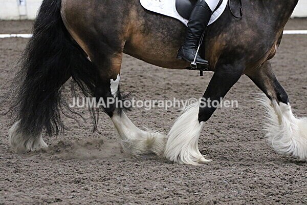 SIAL4189 - CAbin Dressage 5th july 2025