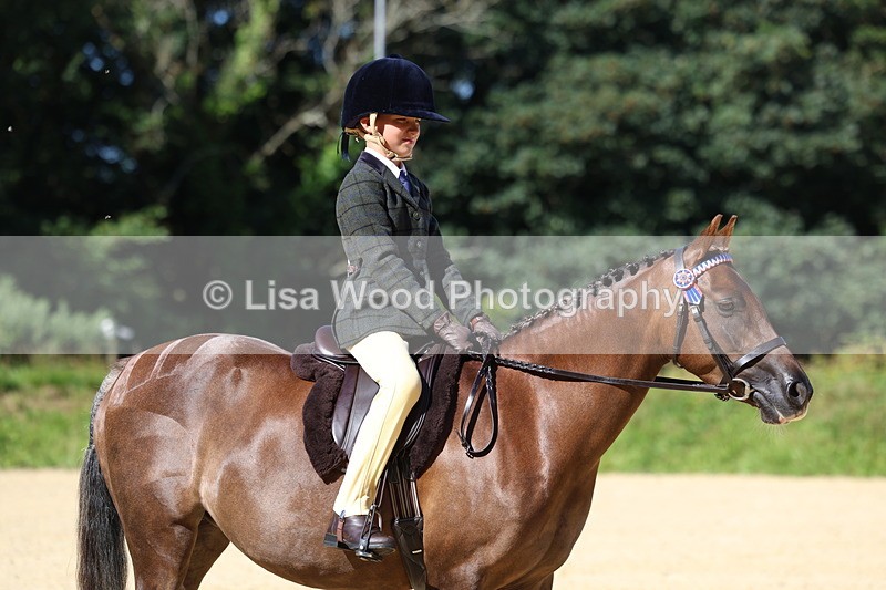 3E7A7922 - Class 14: Tack and Turnout