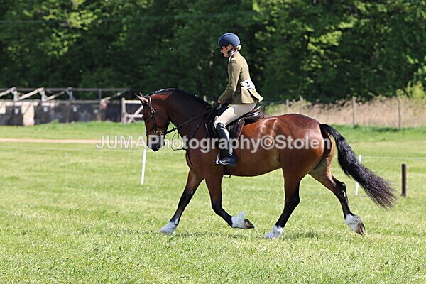 IMG_4373 - Working Hunter