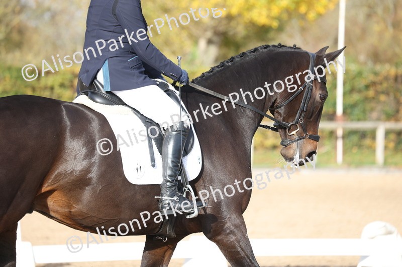 20251102-1116 - Class 6 - Elementary 6