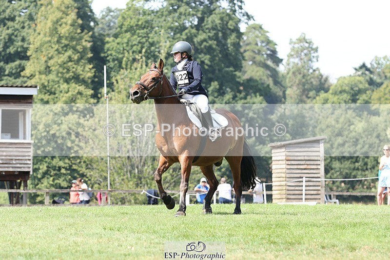 250823A-124558-29588 - Arena D