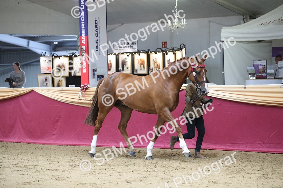 SBM_05077 - Class 8R- Regional -IH Veteran