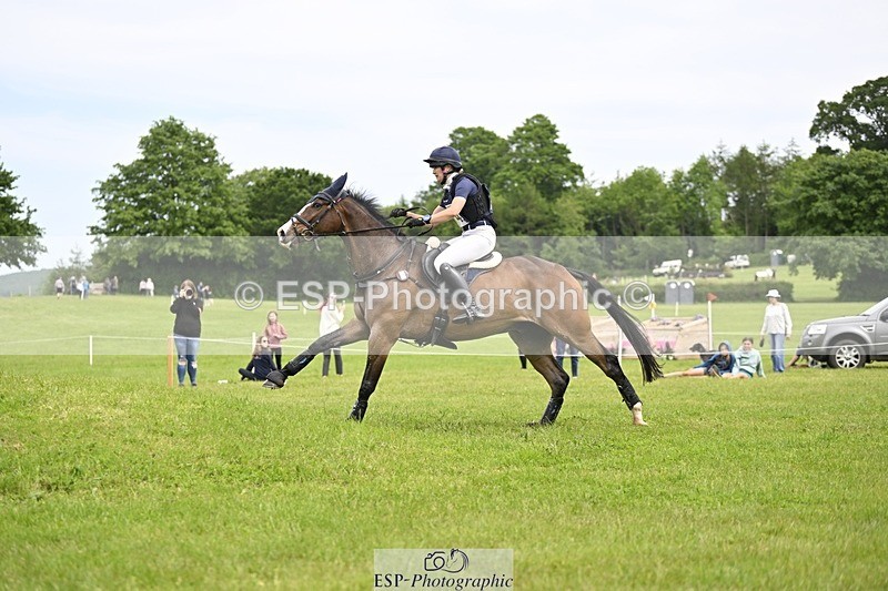 240525-151030-16702 - 214-DSH_GOLDEN_EYE-Lucinda_Mesquita