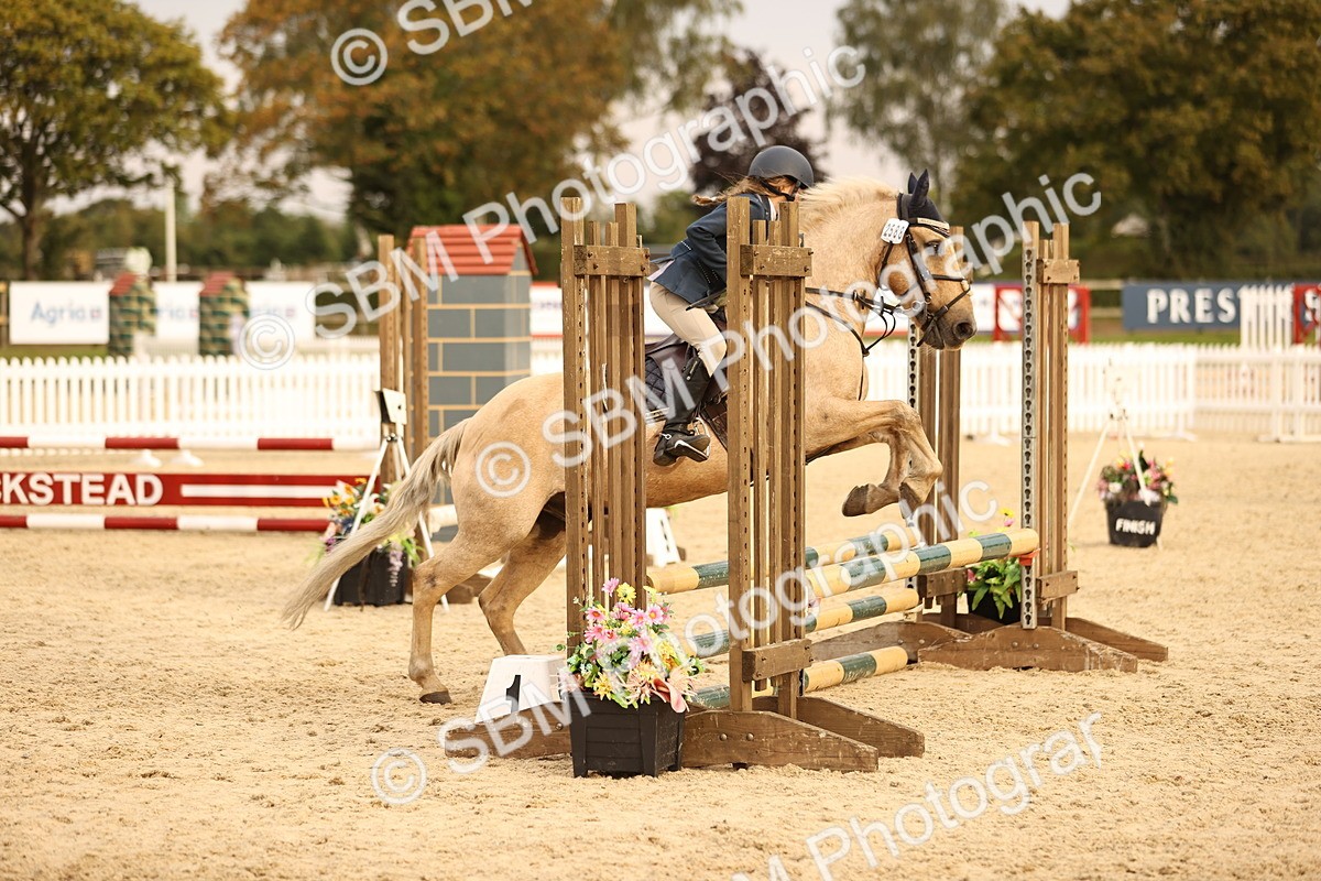 SBM_74460 - J14 - Junior Pony 65cm Championship