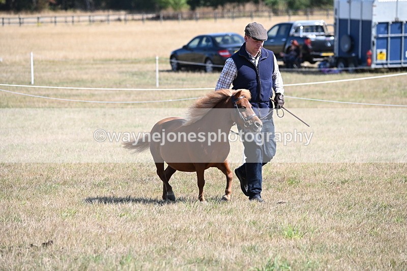 WJ6_4612 - Class 17 Mountain & Moorland