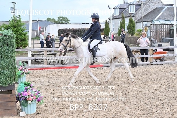 BPP_8207 - 40CM