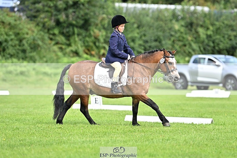 230826-103522-16583 - Sections A & B 10 to End