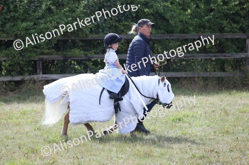 20250831-3597 - Class 26 - Fancy Dress