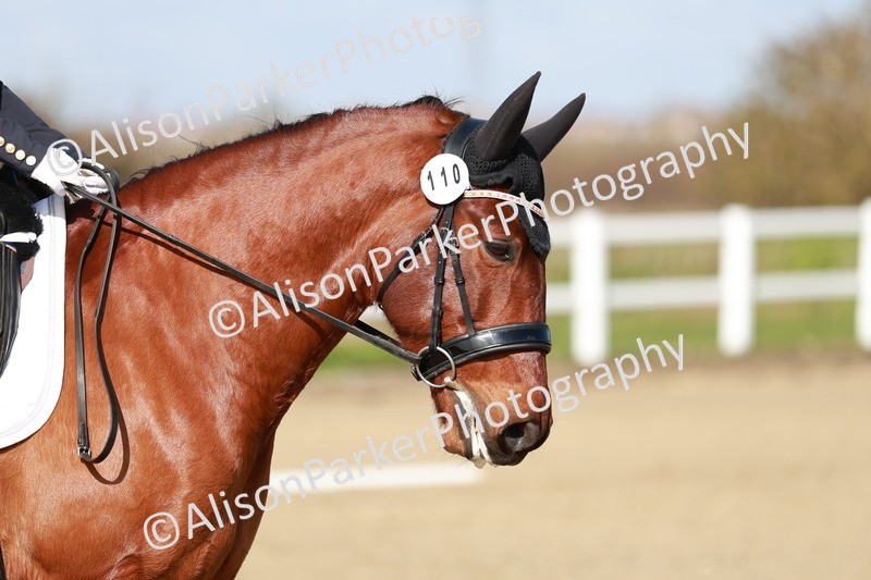 20260314-2887 - DR3 - Prelim 1