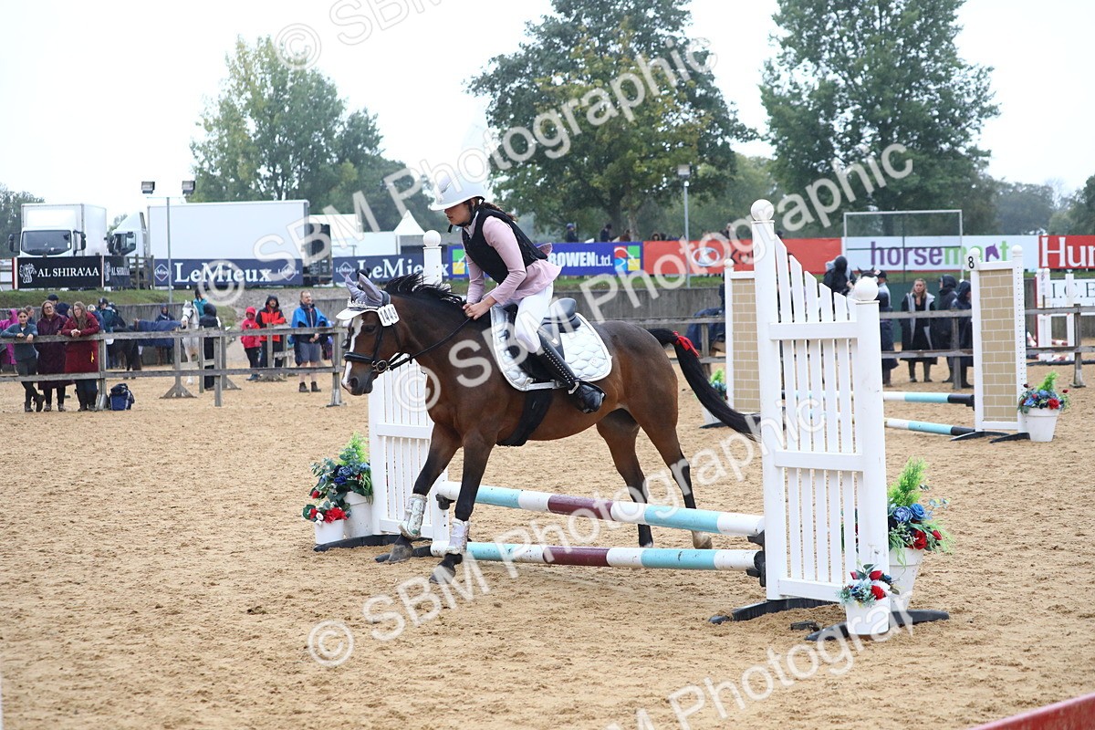 SBM_71606 - J4 - Mini Tour Junior Pony 45cm Championship