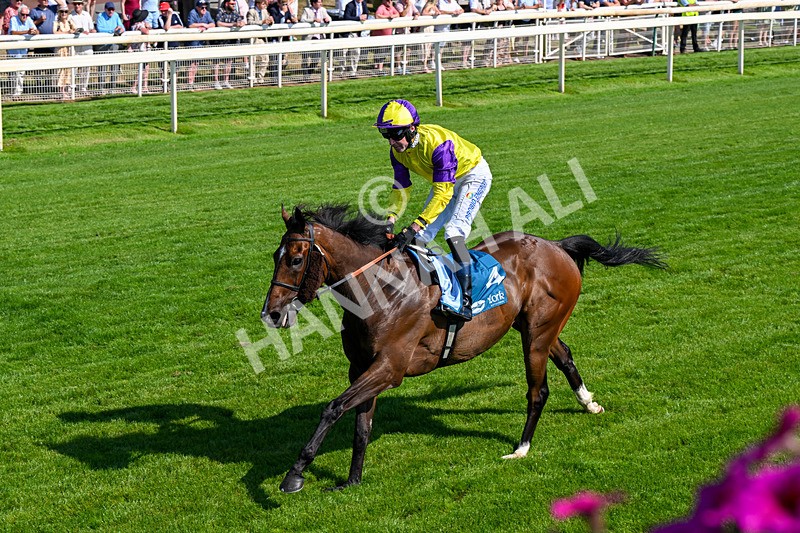 100726-Race 5-Dark Moon Rising-0366 - Race 5 16.30pm Azets Handicap