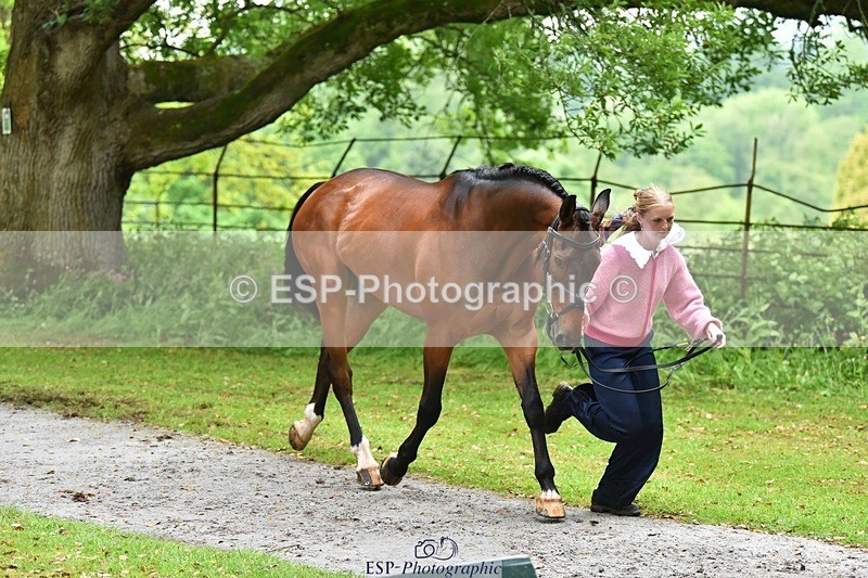 240522-163400-01006 - 261-QUARRY_MAN-Rosie_Ringer