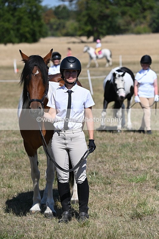 WJ6_8703 - Class 37b Best Loan Pony In-hand