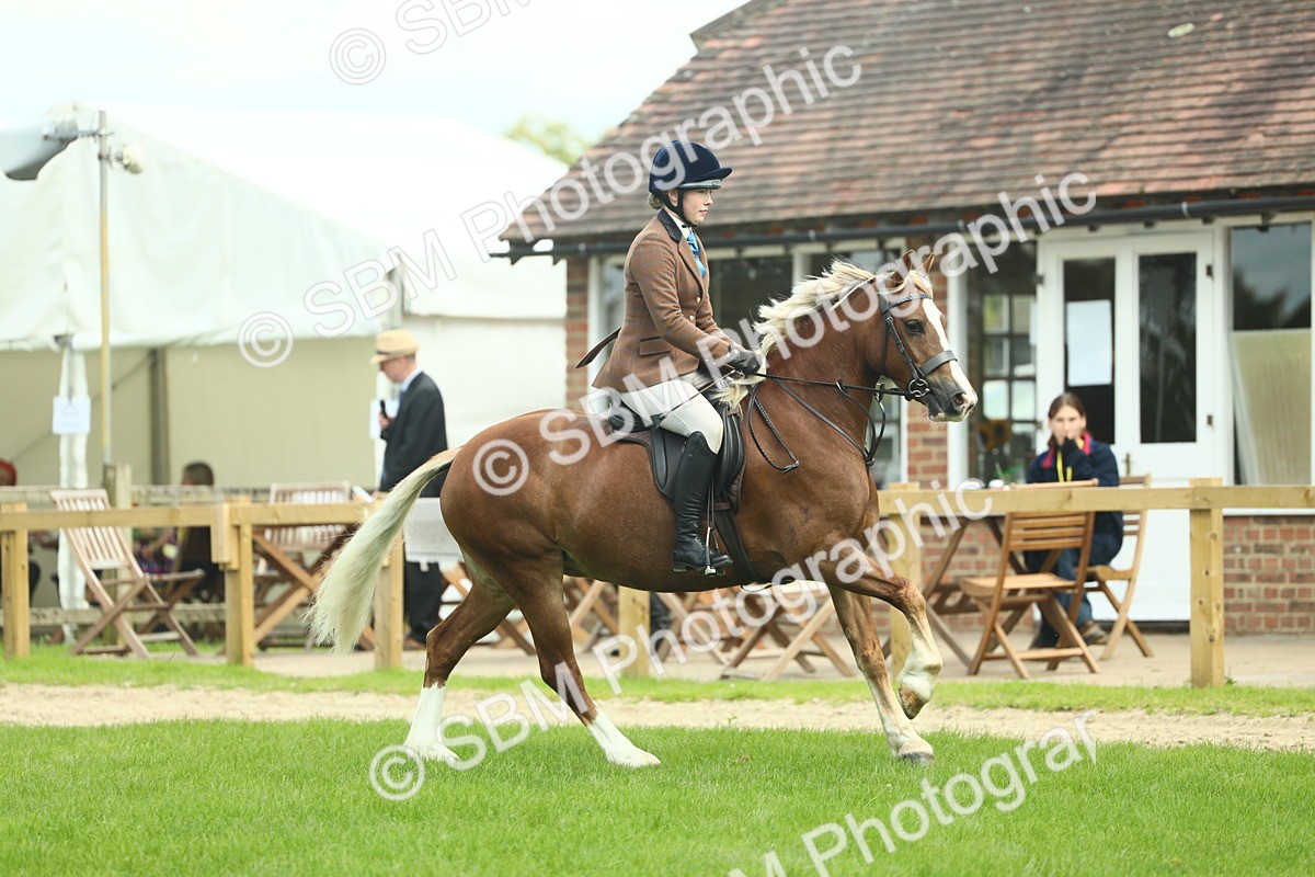 SBM_42813 - S30 - M&M Working hunter Pony