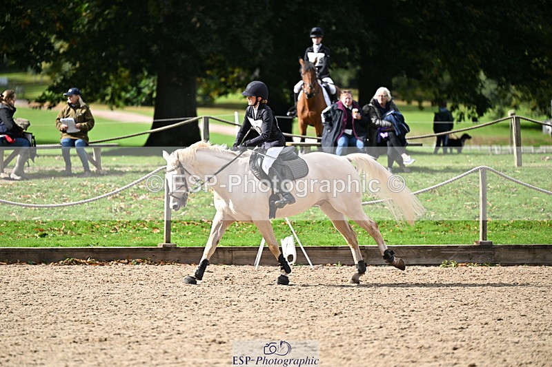 251005A-135522-04215 - Cls 09 Nov 80-85cm