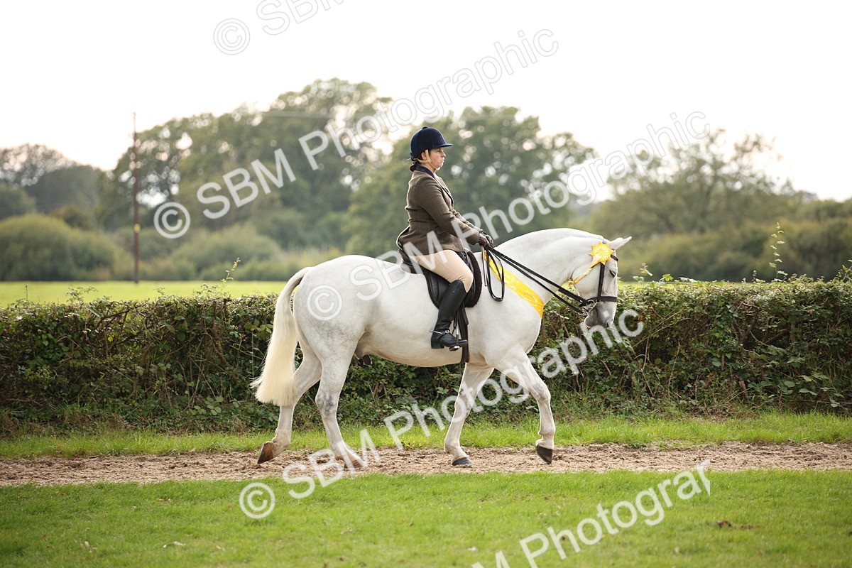 SBM_73608 - Ridden Horse Supreme Championship