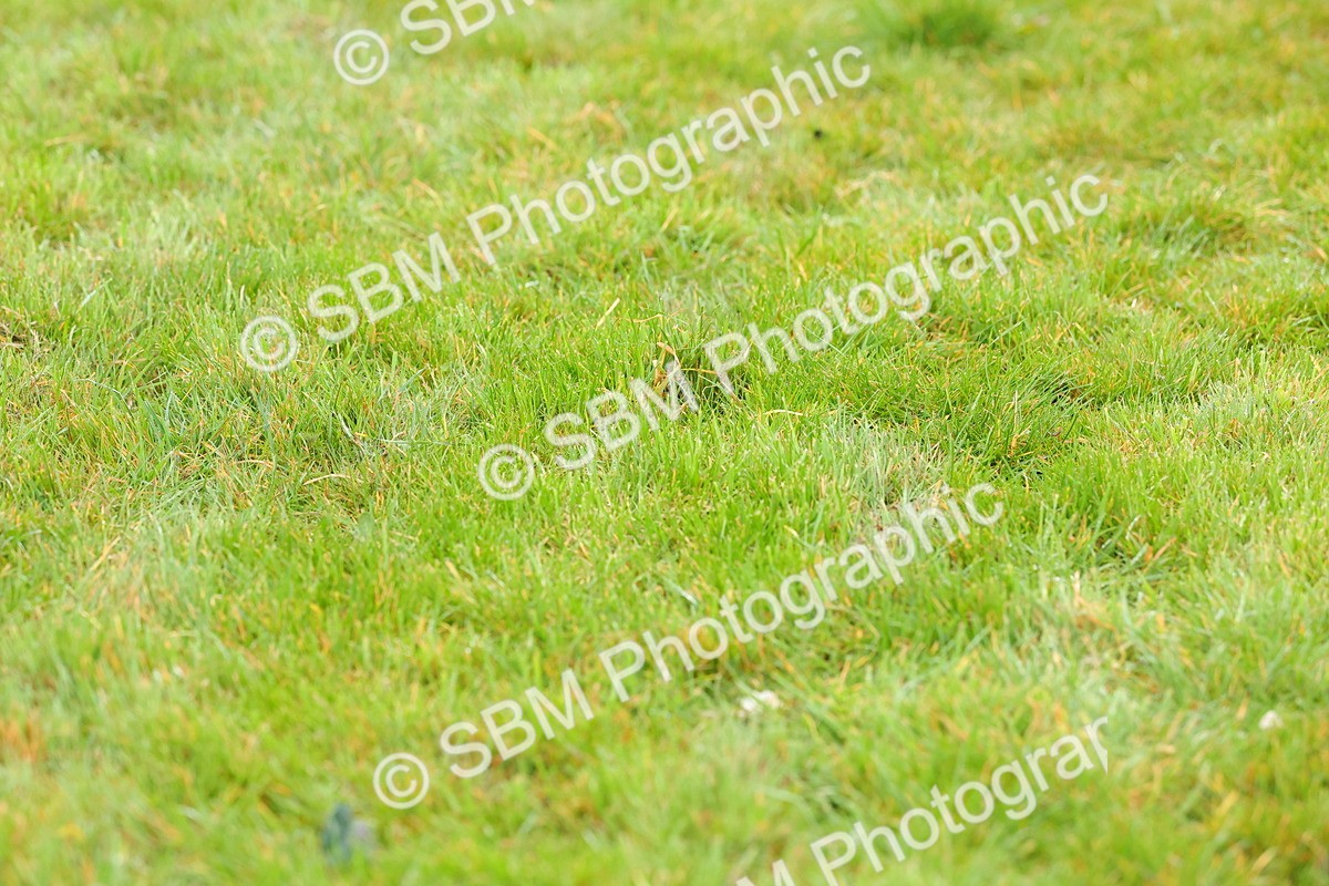 SBM_005787 - Junior 1 2 Final - Pairs Final