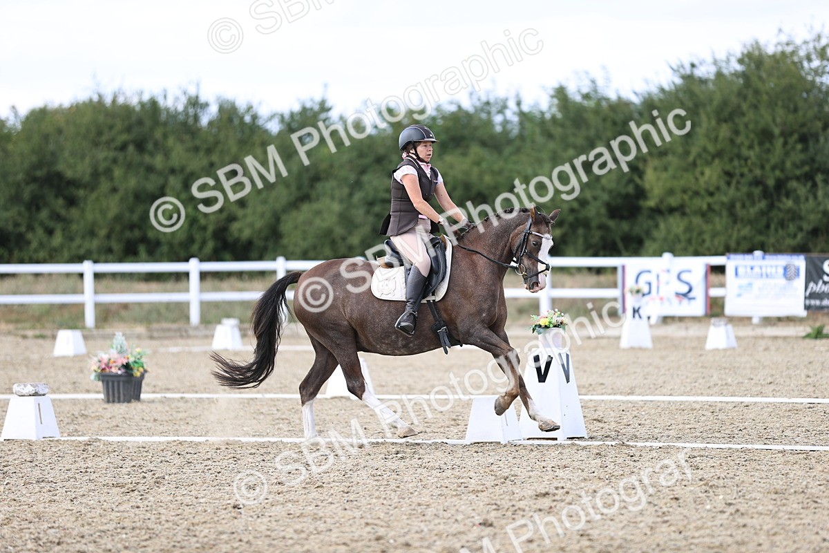 SBM_015952 - Class 5 - E5 Bronze  16.18.17.22