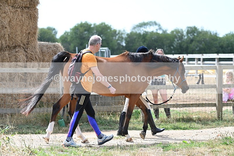 WJ7_1921 - In Hand