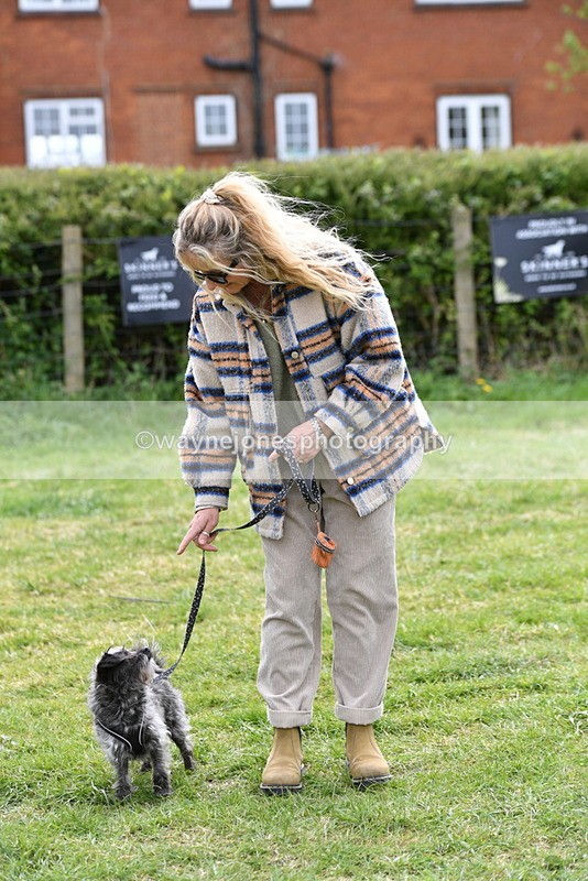 WJ5_9329 - Class 1 Best Cross Breed / Heniz 57