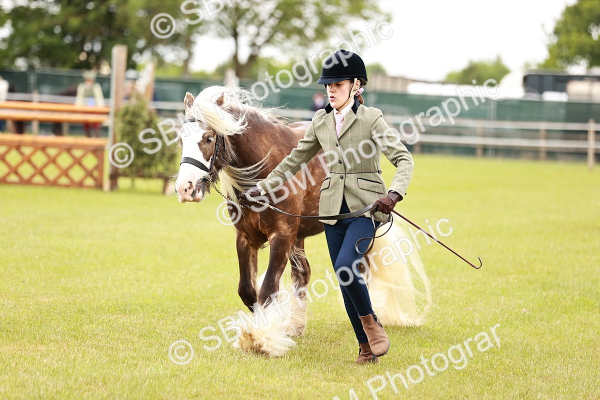 SBM_06059 - Class 39-41 TGCA In Hand and Ridden