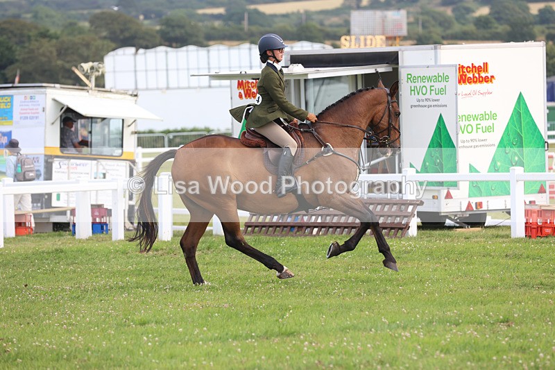 JPP_4483 - Class 26: Working Hunter 1m