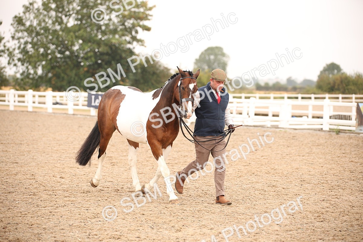 SBM_22126 - Class 707 - Ridden Groom-Helpers Class