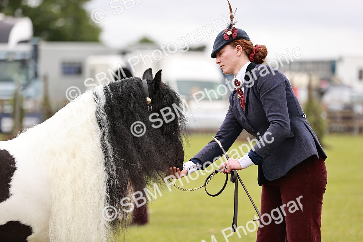 SBM_05991 - Class 39-41 TGCA In Hand and Ridden