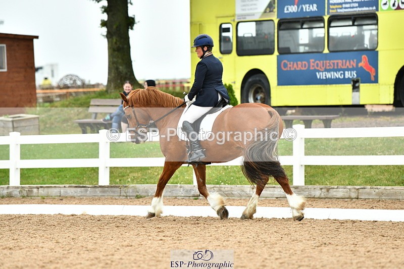 230630A-130401-02276 - Cls 8 Elementary 57