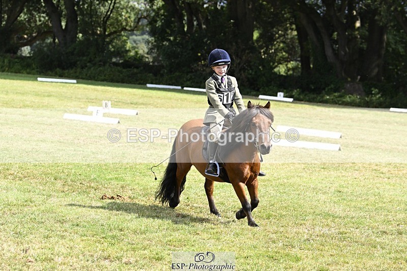 250822A-115430-22428 - DR 11.00 to 12.00