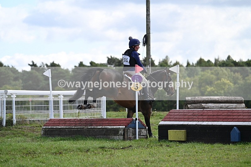 WJ7_0585 - Time 11:36 to 12:00